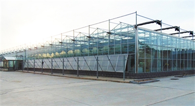 石拐區環境修復植物資源開發工程智能內保溫玻璃溫室項目
